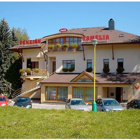Penzion Kamelia Žilina Exterior foto